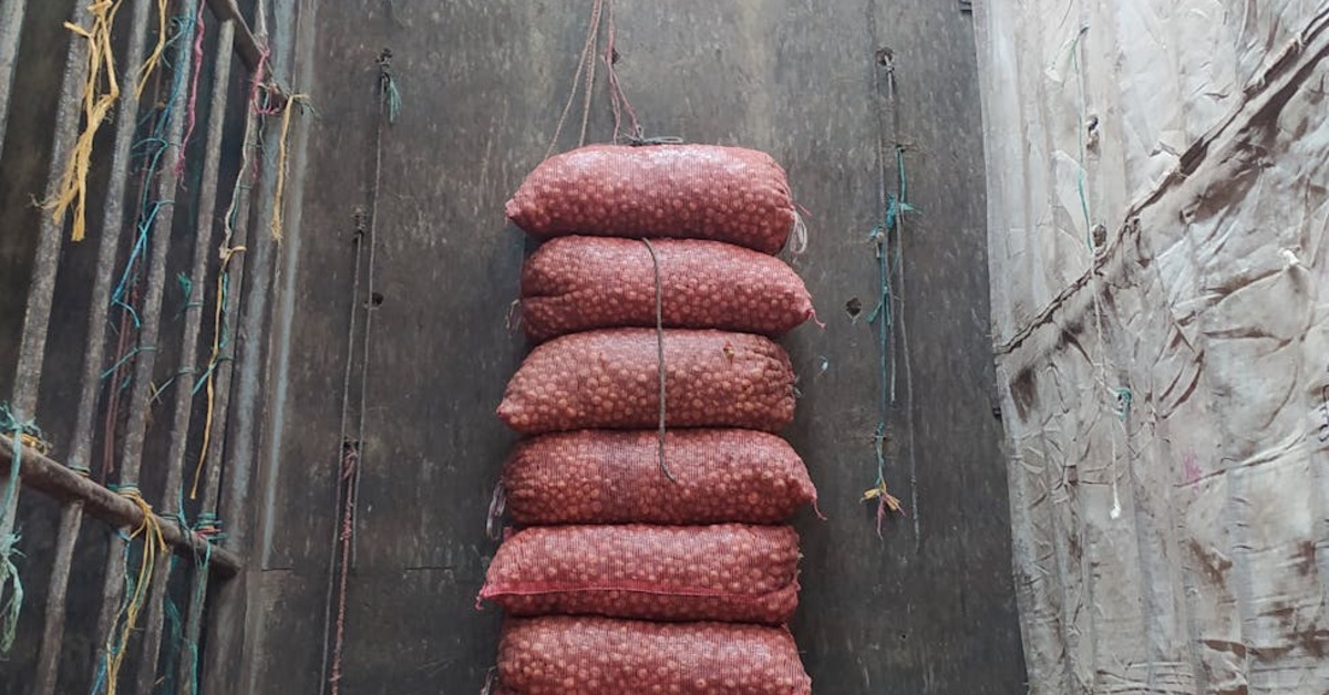 Cibuľa uložená v suchom priestore